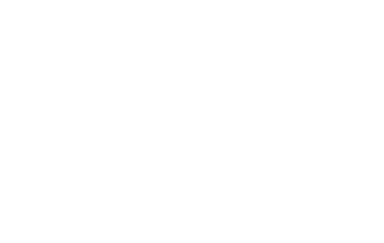 WizIT