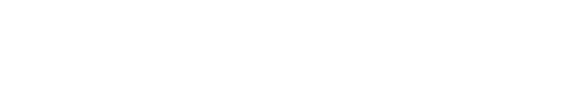WizIT